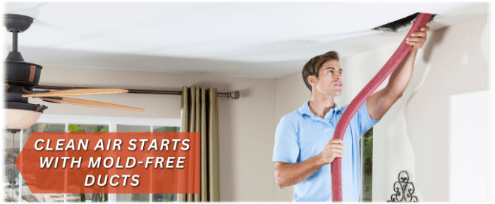 Air Duct Mold Removal in Fort Worth TX