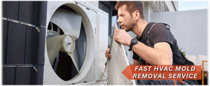 HVAC Mold Removal Fort Worth TX